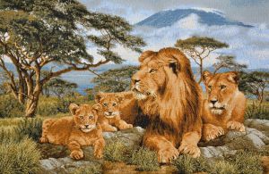 Картина гобелен "Африканские львы" в двойной багетной раме. Размер гобелена 55х35 см.