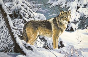Картина гобелен "Волк в лесу" в двойной багетной раме. Размер гобелена 108х70 см.