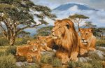 Африканские львы (55х35) д/б