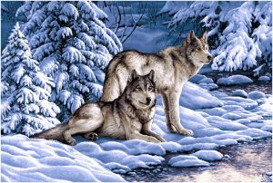 Картина гобелен "Серые волки" в одинарной багетной раме. Размер гобелена 54х35 см.