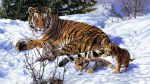 Панно "Тигры на снегу" (136х95)