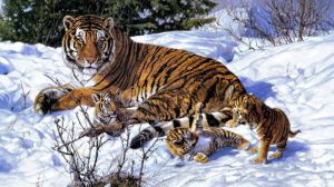 Картина гобелен "Тигры на снегу" в одинарной багетной раме. Размер гобелена 140х100 см.